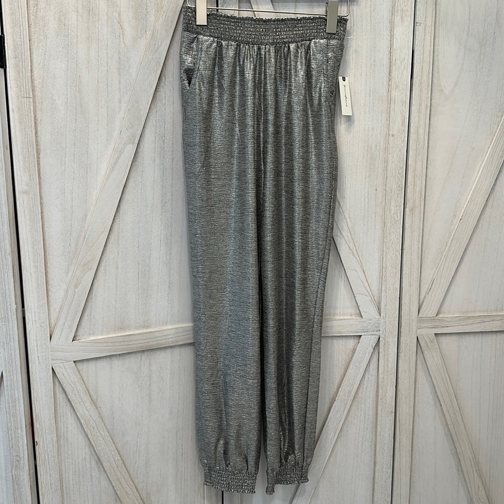 Anthropology Silver joggers XS